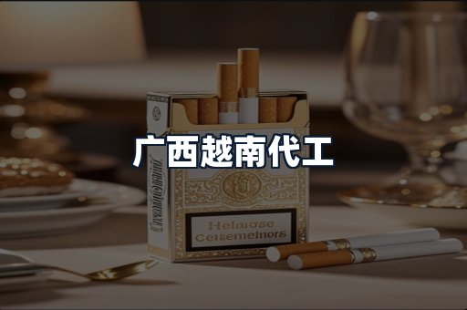 广西越南代工